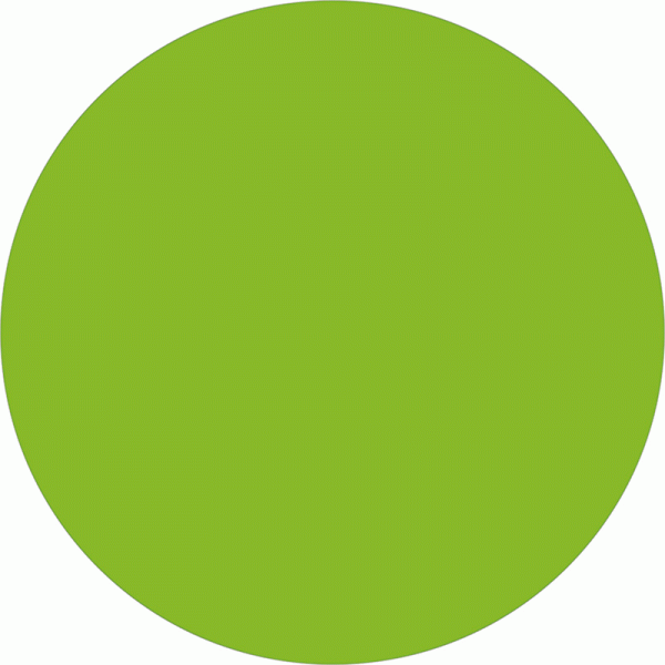 圓形教學毯(綠色)-薄