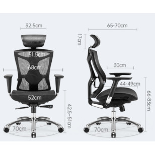 人體工學椅辦公椅電腦椅辦公椅V1