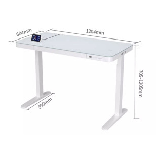 智能電動升降桌辦公電腦桌學習桌iE4