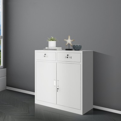 中二斗矮櫃文件櫃茶水櫃帶鎖對開門工具資料